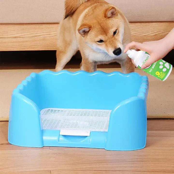 Instructions For The Targeted Placement Of The Pet Toilet