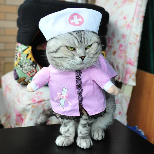 Creative Disguises For Pets
