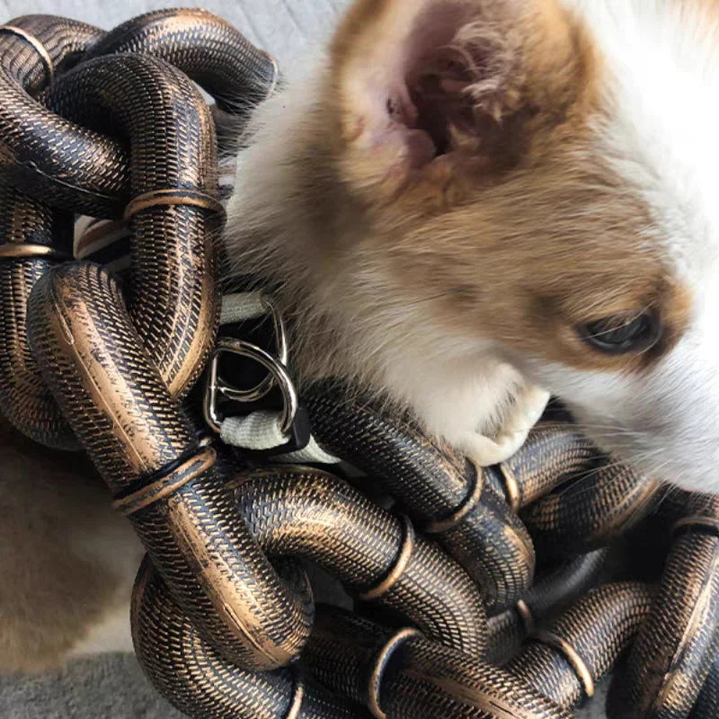 Stylish And Fun Dog Lead