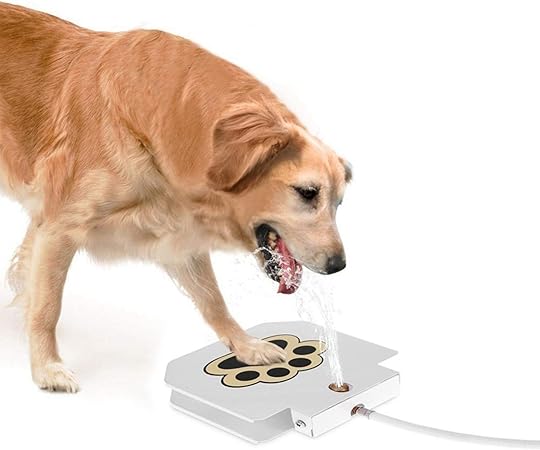 Interactive Dog Toy with Water Fountain