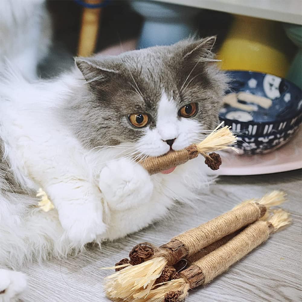 KittySticks - Tooth-Cleaning Toy for Cats