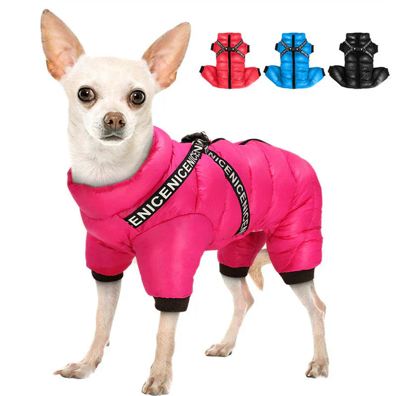 Dog Winter Coat For Cold Days