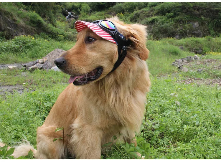 Dog Goggles Uv Protective Goggles In 7 Colours For Dogs