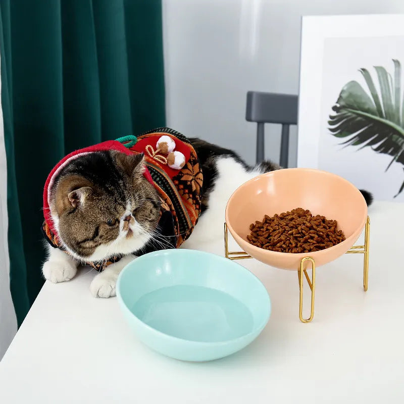 Raised Food Bowl For Dogs And Cats - Stylish Design With Metal Stand