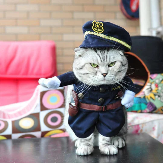 Creative Disguises For Pets