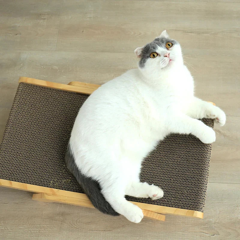 Cat Scratching Board