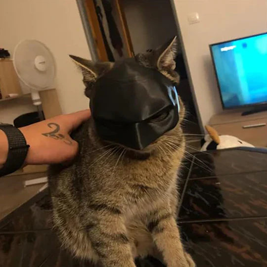 Heroic Cat Mask For Unique Appearances