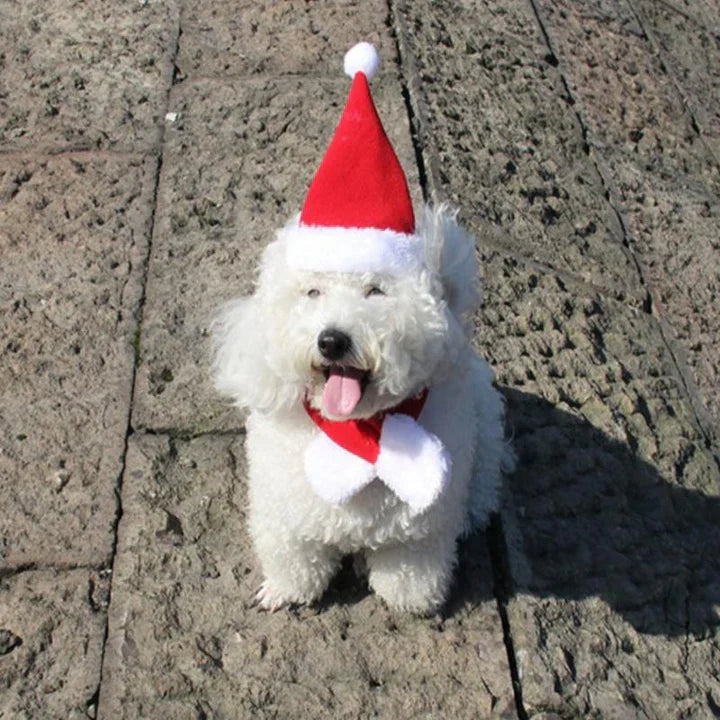 Christmas Cat Costume Set