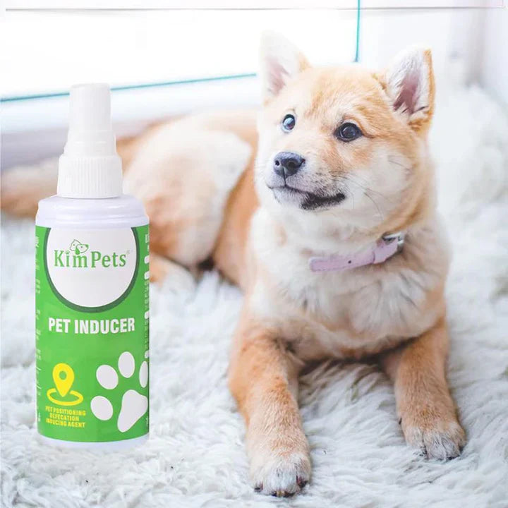 Instructions For The Targeted Placement Of The Pet Toilet