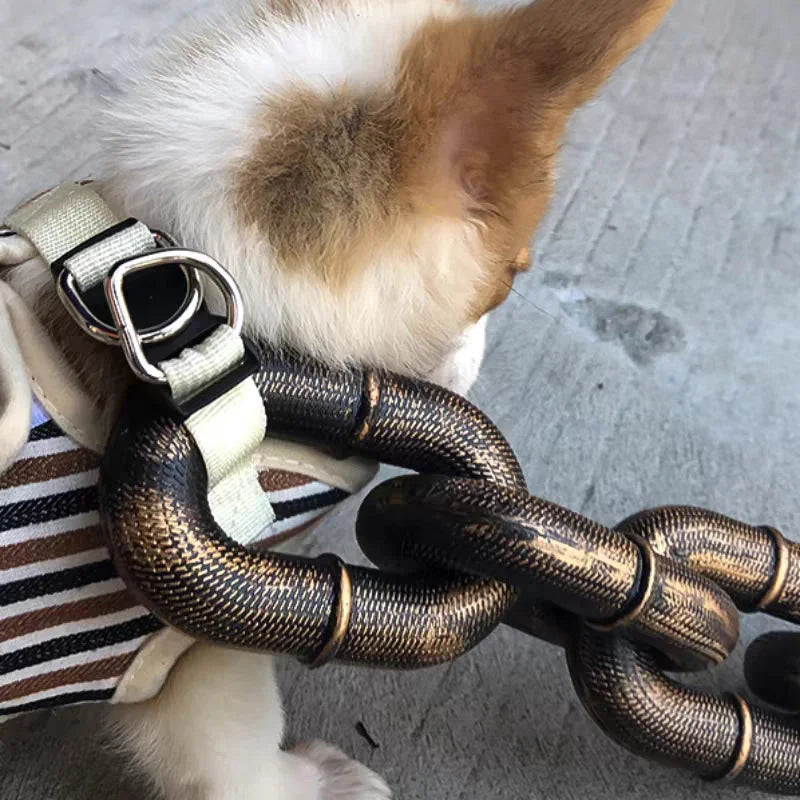 Stylish And Fun Dog Lead
