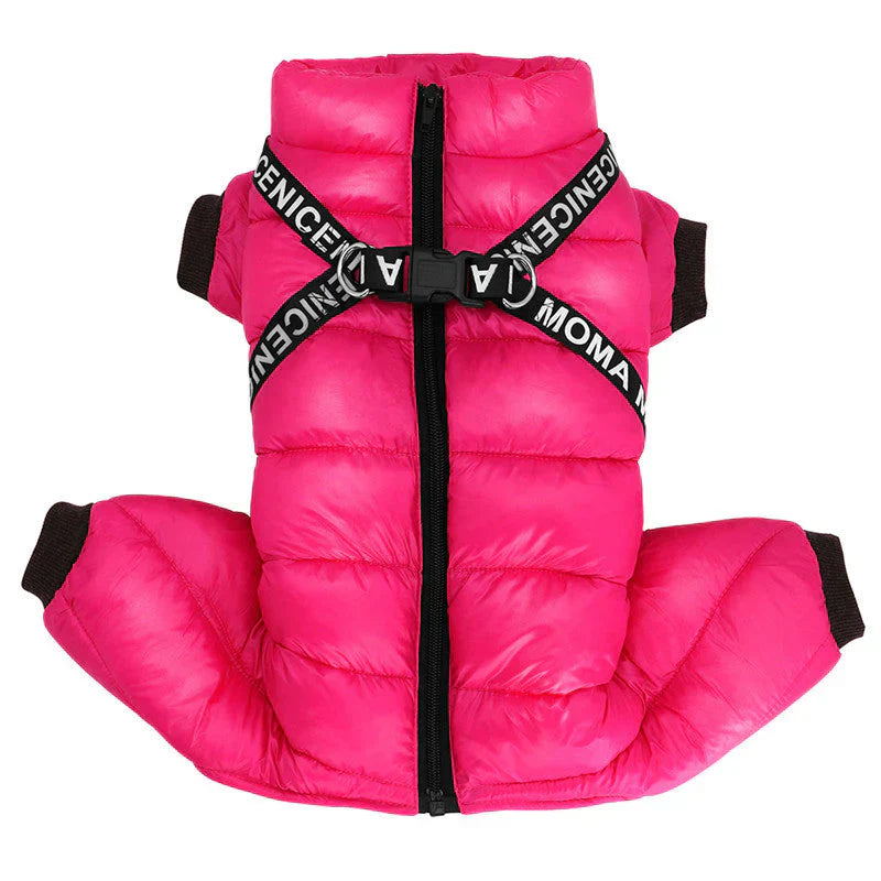Dog Winter Coat For Cold Days