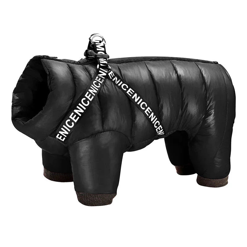 Dog Winter Coat For Cold Days