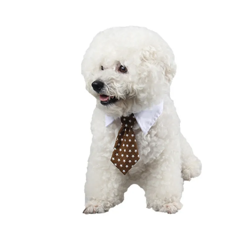 Elegant Pet Collar With Tie For Dogs And Cats