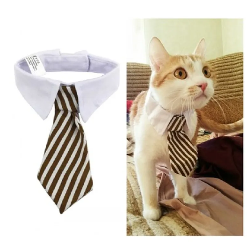 Elegant Pet Collar With Tie For Dogs And Cats