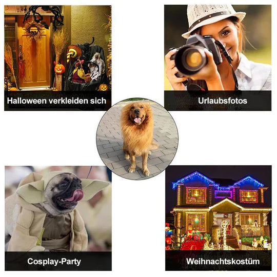 Lion 's Mane Dog Costume