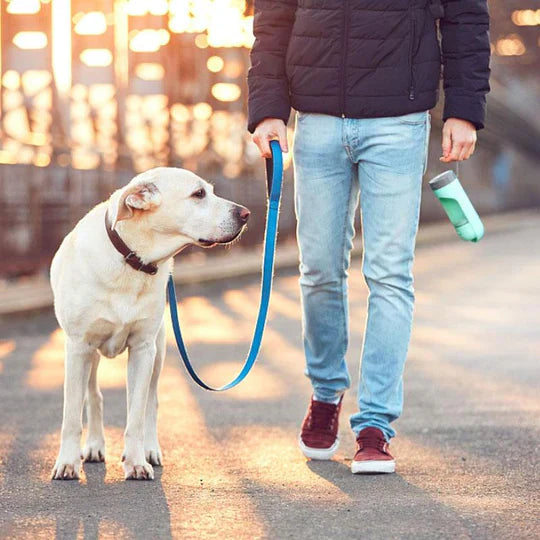 Mobile Drinking Dispenser For Pets