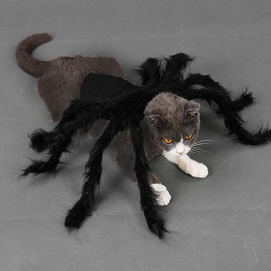 Creepy Spider Costume For Pets
