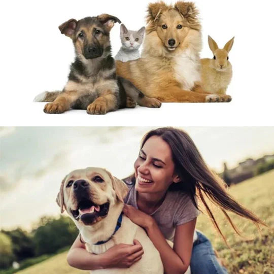 Ear Care Powder For Pets
