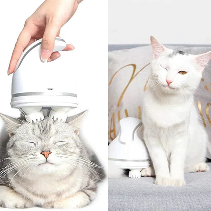 Electric Massager For Pets