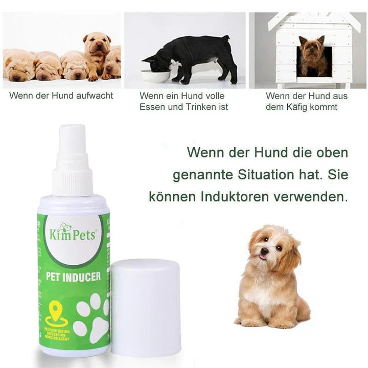 Instructions For The Targeted Placement Of The Pet Toilet