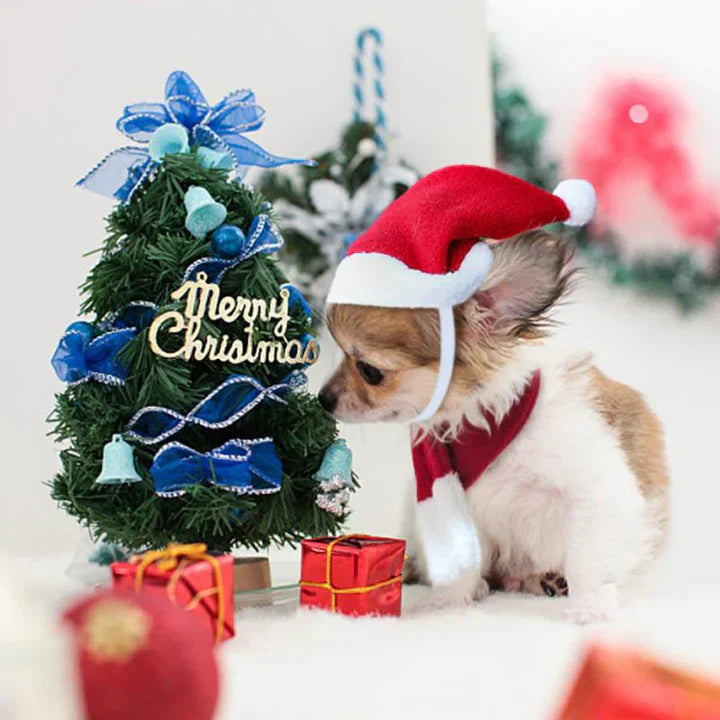 Christmas Cat Costume Set