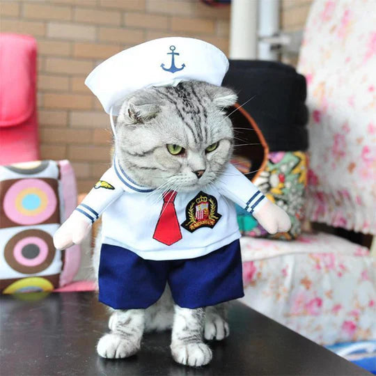 Creative Disguises For Pets