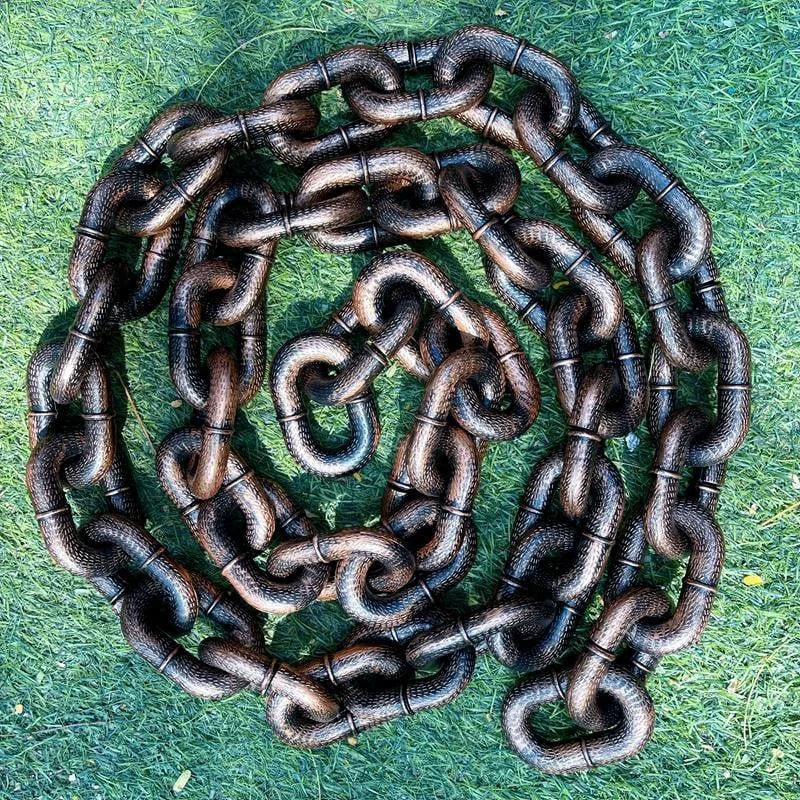Stylish And Fun Dog Lead