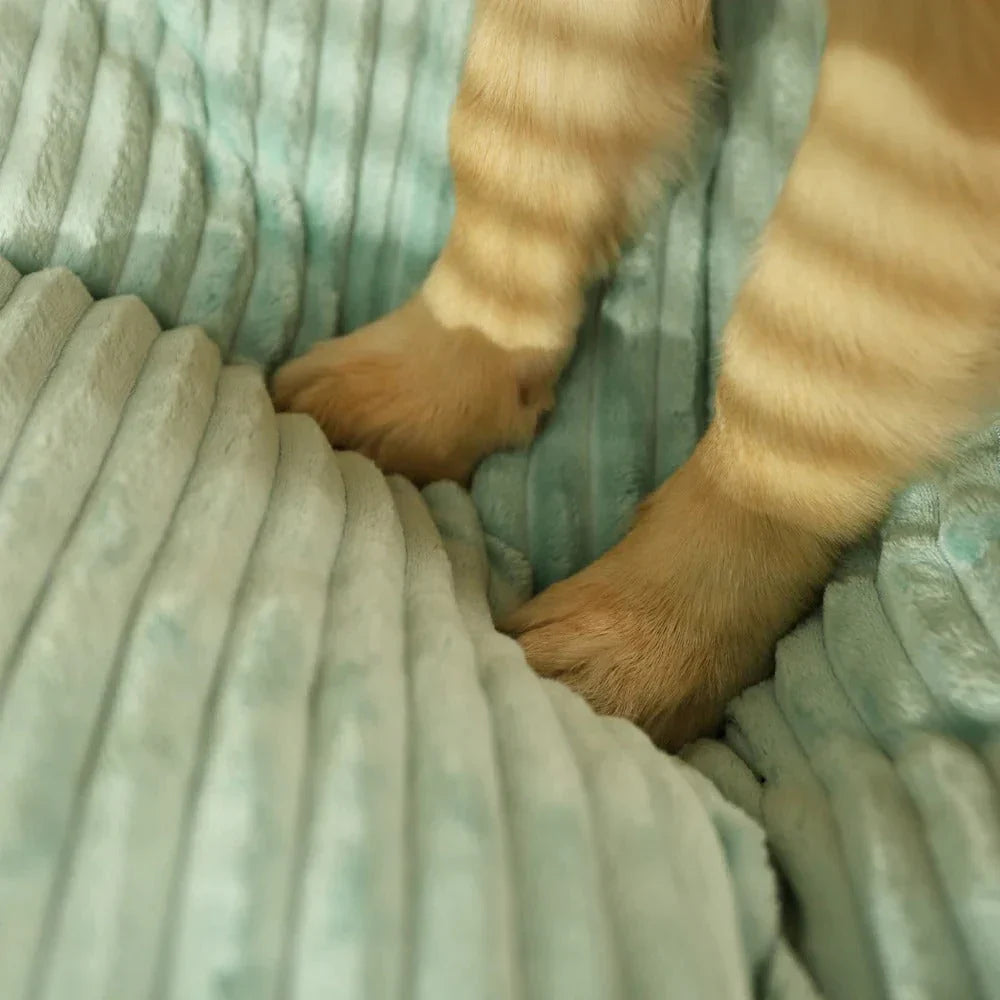 Ergonomic Dog Cushion with Removable Cover