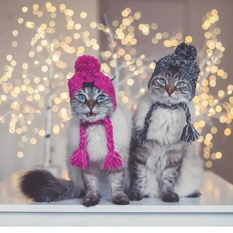 Knitting Hat For Pets With Pompom And Pigtails In Pink
