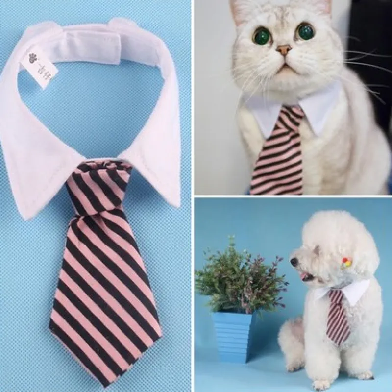 Elegant Pet Collar With Tie For Dogs And Cats