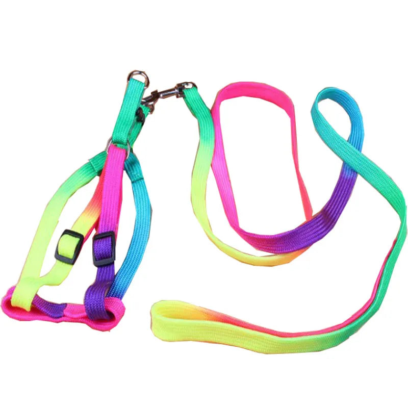 Coloured Dog Harness With Lead - Adjustable Set For Dogs In Rainbow Colours