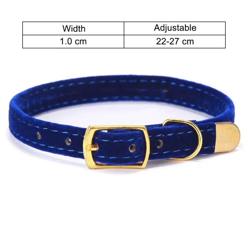 Velours Cat Collar With Golden Buckle - Soft Adjustable And Elegant