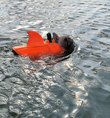 Dog Life Jacket