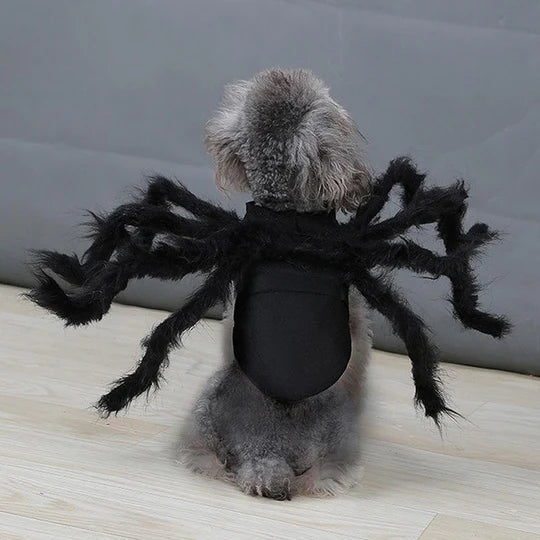 Creepy Spider Costume For Pets