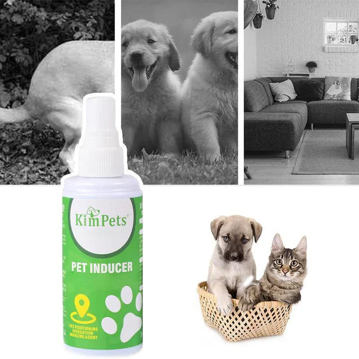 Instructions For The Targeted Placement Of The Pet Toilet