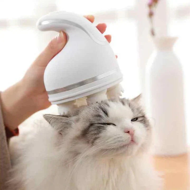 Electric Massager For Pets