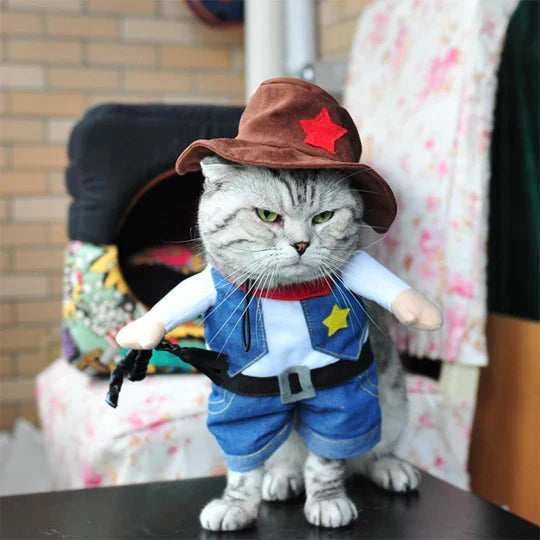 Creative Disguises For Pets