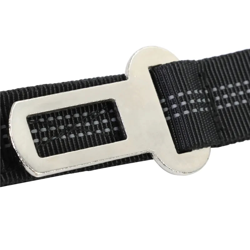 Elastic Dog Lead With Shock Absorption - Shock-absorbing Lead For Walks