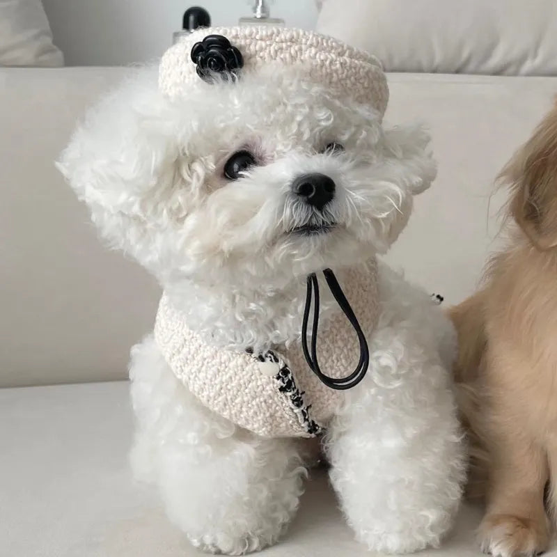 Elegant Dog Collar With Chic Little Hat And Flower Appliqué - Fashionable Design For Your Four - Legged Friend
