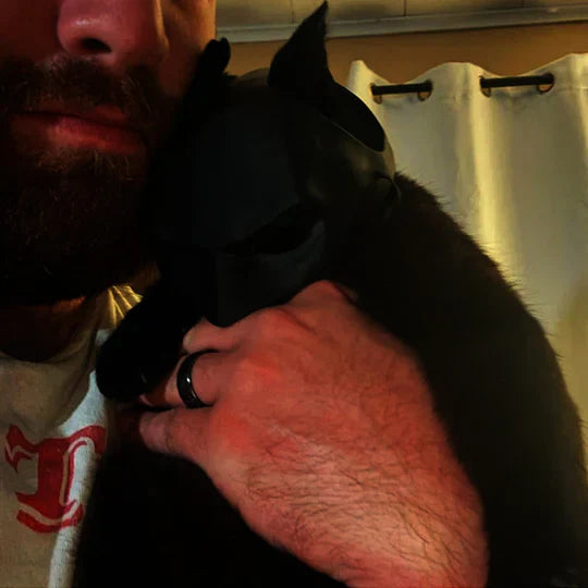 Heroic Cat Mask For Unique Appearances