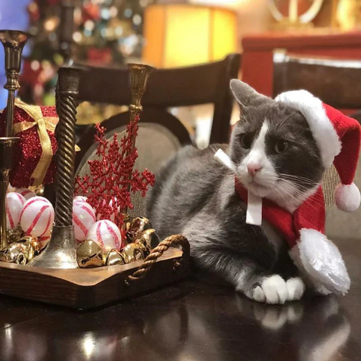 Christmas Cat Costume Set