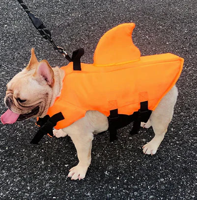 Dog Life Jacket