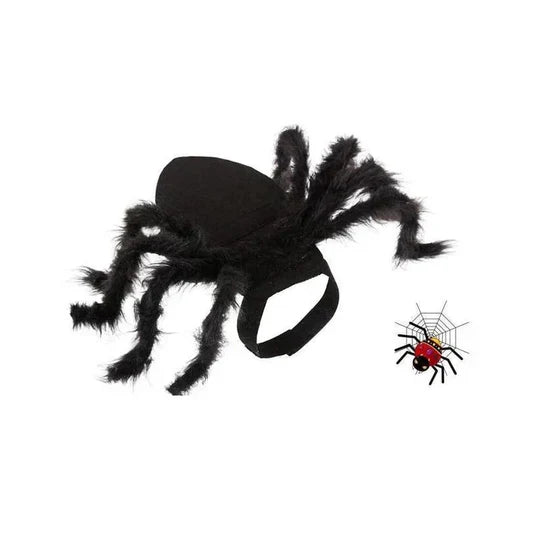Creepy Spider Costume For Pets