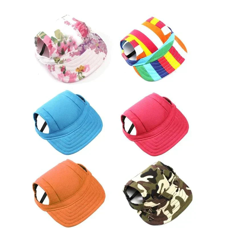 Fashionable Round Dog Cap