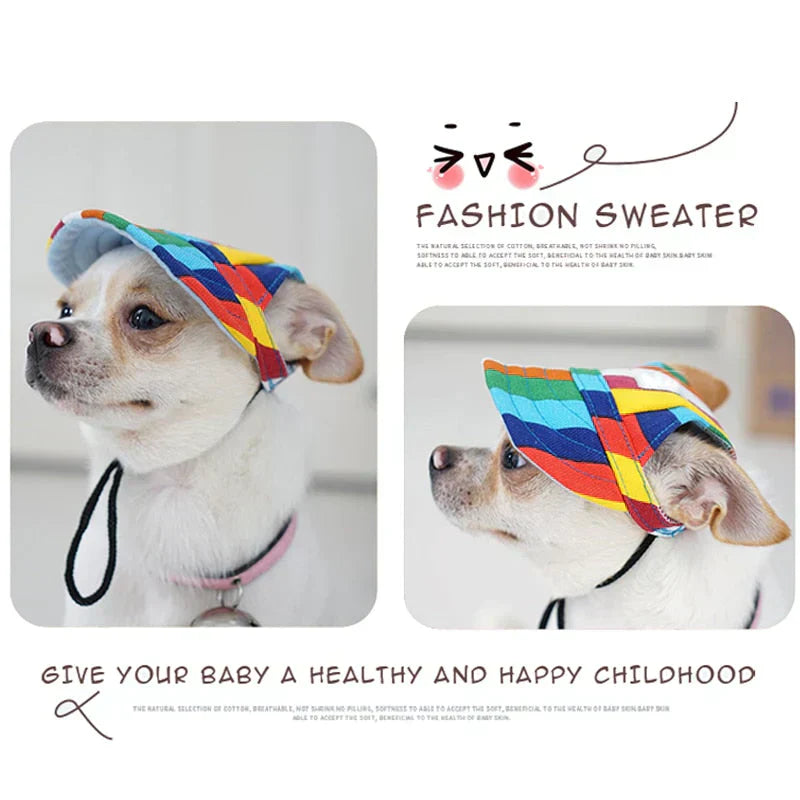 Fashionable Round Dog Cap
