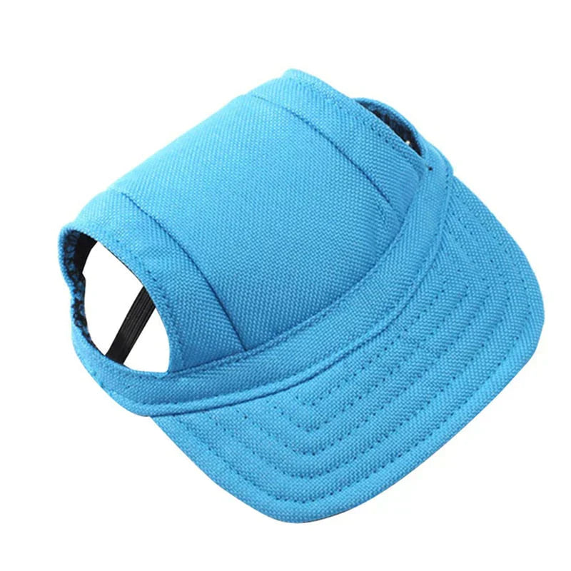 Fashionable Round Dog Cap