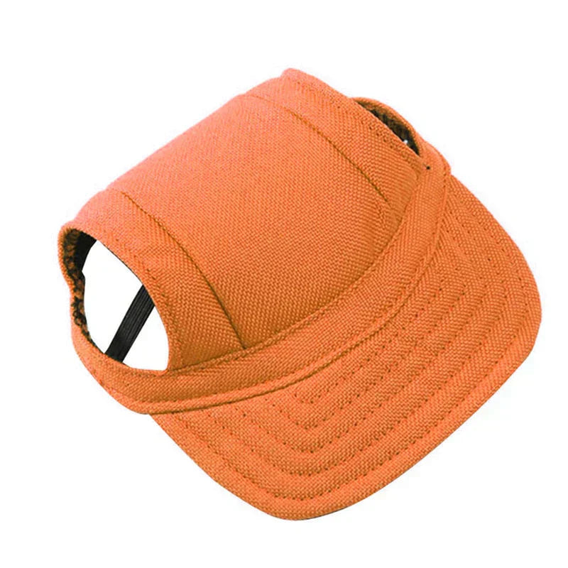 Fashionable Round Dog Cap