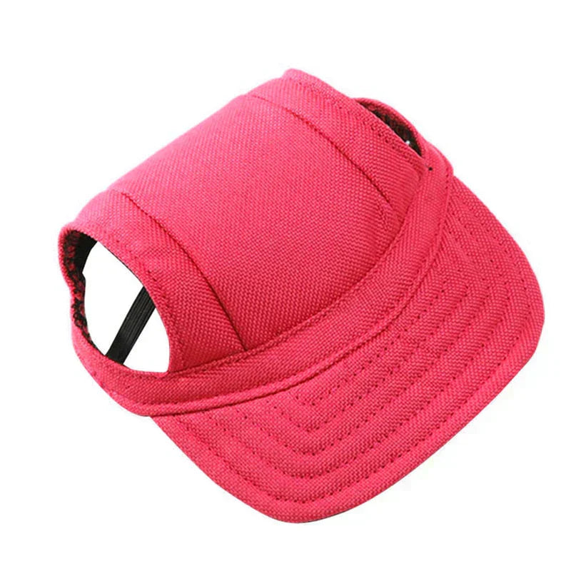 Fashionable Round Dog Cap