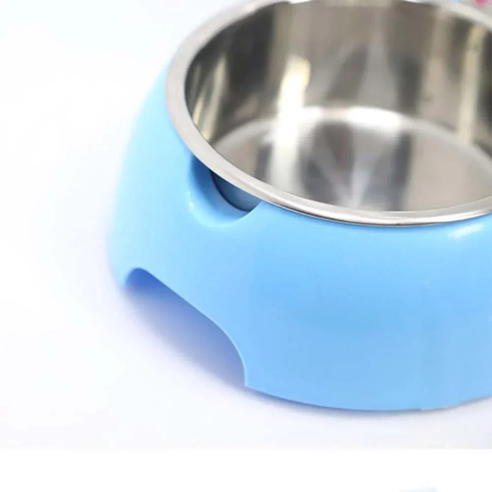 3-in-1 Pet Feeding Bowl
