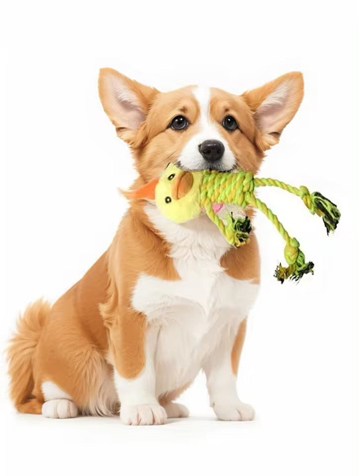 Durable Dog Toy With Plush Head
